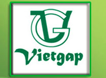 SVTB Sao Khue Award